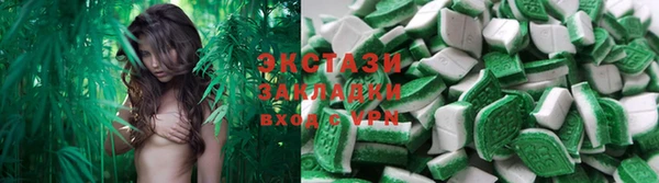 амф Дмитриев