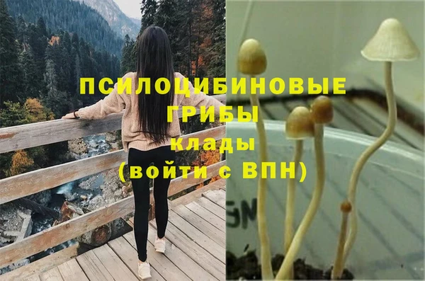 ПСИЛОЦИБИНОВЫЕ ГРИБЫ Дмитров