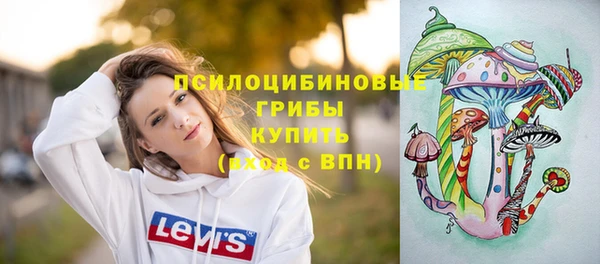 ПСИЛОЦИБИНОВЫЕ ГРИБЫ Дмитров