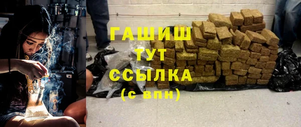 молекула духа Елабуга