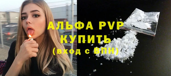 молекула духа Елабуга