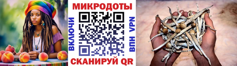 Купить  Комсомольск  Галлюциногенные грибы MAGIC MUSHROOMS 
